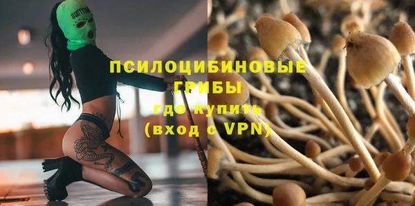 2c-b Туринск