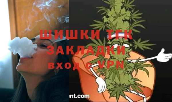2c-b Туринск