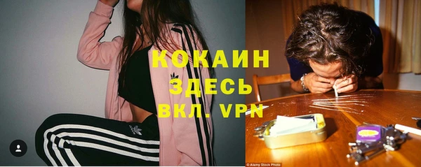 твердый Тобольск