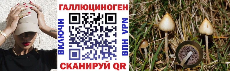 Галлюциногенные грибы мухоморы  Купить закладки  Облучье 